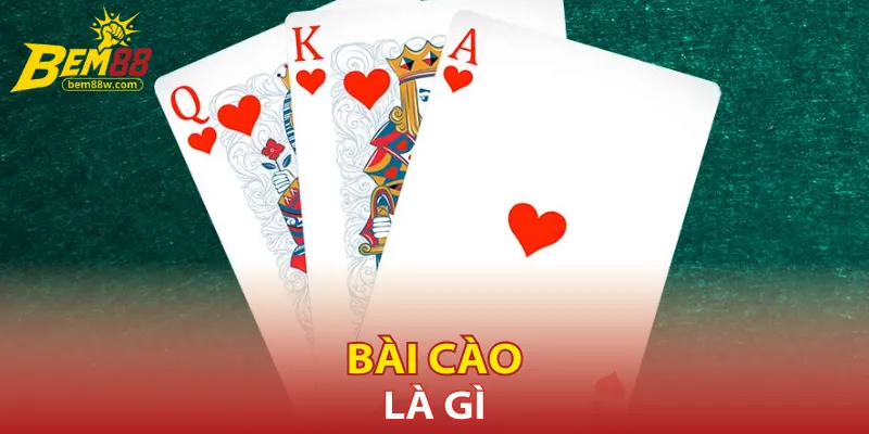 bai-cao-la-gi