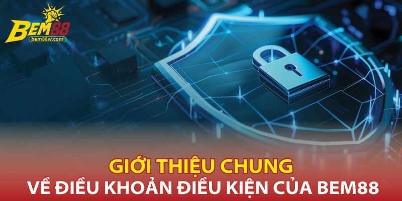 gioi-thieu-chung-ve-dieu-khoan-dieu-kien-cua-nha-cai-bem88