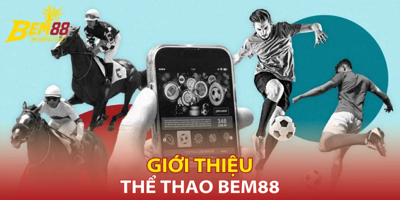 Tổng quan về sảnh thể thao Bem88 hiện nay