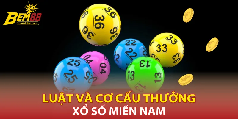 luat-va-co-cau-thuong-xo-so-mien-nam