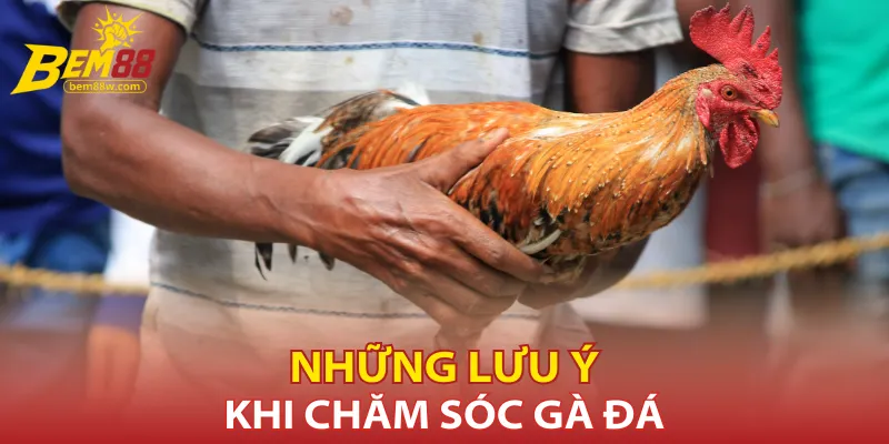 nhung-luu-y-khi-cham-soc-ga-da